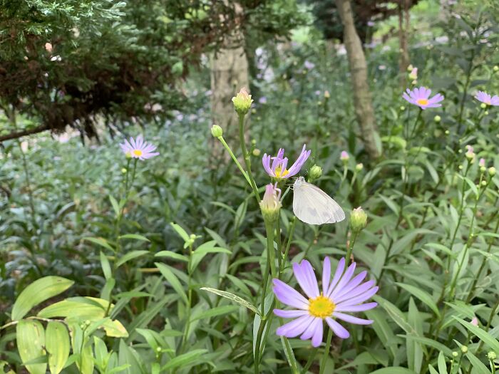 Hey Pandas, What’s A Photo You Took With Your Phone That Seems Professional? (Closed) Hey Pandas, What’s A Photo You Took With Your Phone That Seems Professional? (Closed)