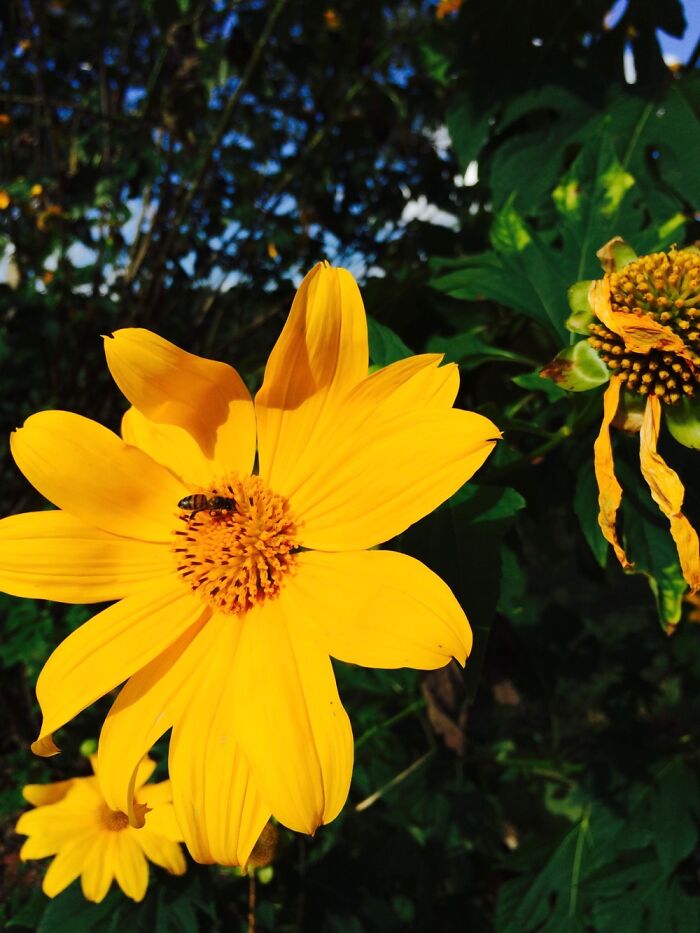 Hey Pandas, What’s A Photo You Took With Your Phone That Seems Professional? (Closed) Hey Pandas, What’s A Photo You Took With Your Phone That Seems Professional? (Closed)