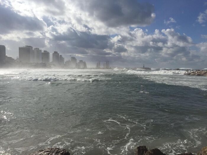 Hey Pandas, What’s A Photo You Took With Your Phone That Seems Professional? (Closed) Hey Pandas, What’s A Photo You Took With Your Phone That Seems Professional? (Closed)