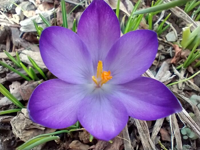 Hey Pandas, What’s A Photo You Took With Your Phone That Seems Professional? (Closed) Hey Pandas, What’s A Photo You Took With Your Phone That Seems Professional? (Closed)