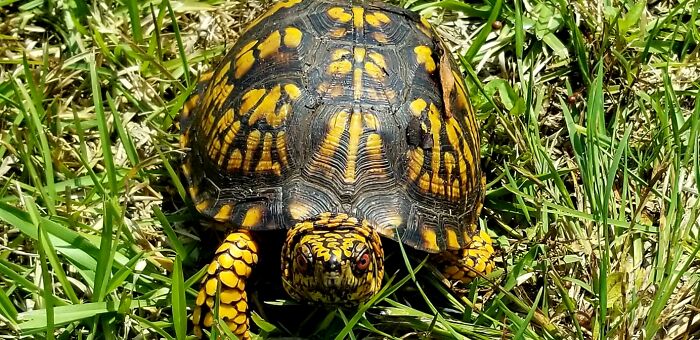 Hey Pandas, What’s A Photo You Took With Your Phone That Seems Professional? (Closed) Hey Pandas, What’s A Photo You Took With Your Phone That Seems Professional? (Closed)