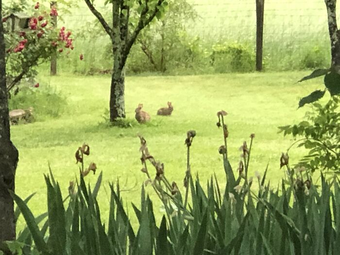 Hey Pandas, What’s A Photo You Took With Your Phone That Seems Professional? (Closed) Hey Pandas, What’s A Photo You Took With Your Phone That Seems Professional? (Closed)