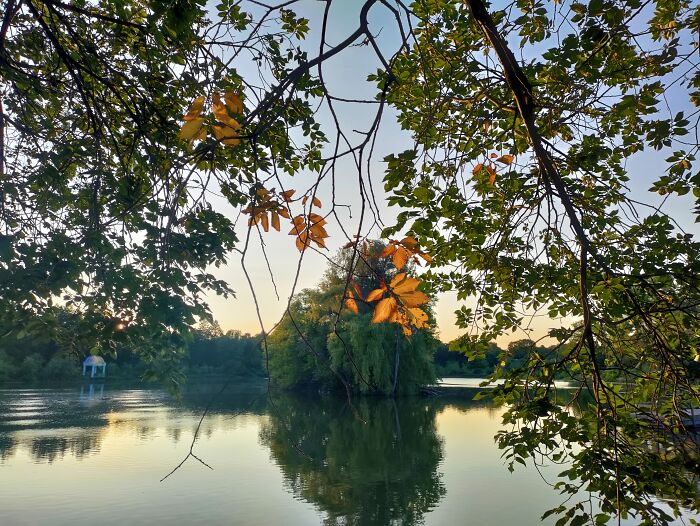 Hey Pandas, What’s A Photo You Took With Your Phone That Seems Professional? (Closed) Hey Pandas, What’s A Photo You Took With Your Phone That Seems Professional? (Closed)