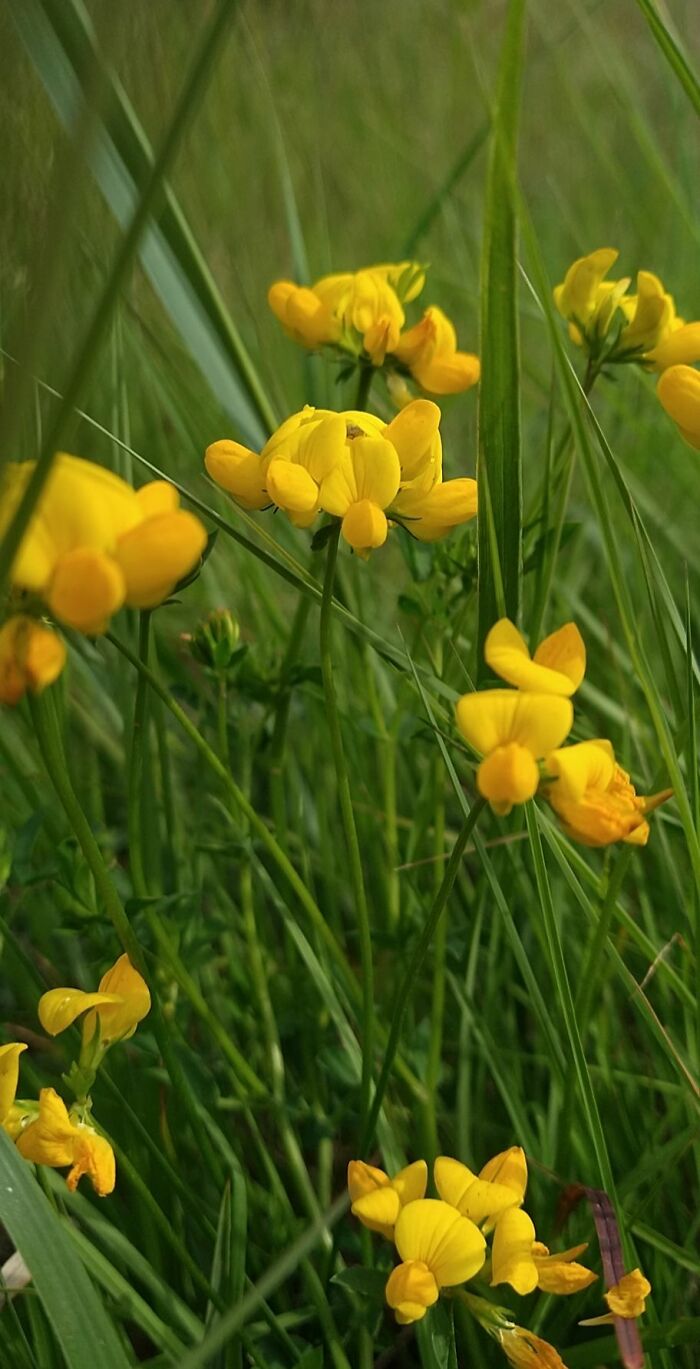 Hey Pandas, What’s A Photo You Took With Your Phone That Seems Professional? (Closed) Hey Pandas, What’s A Photo You Took With Your Phone That Seems Professional? (Closed)