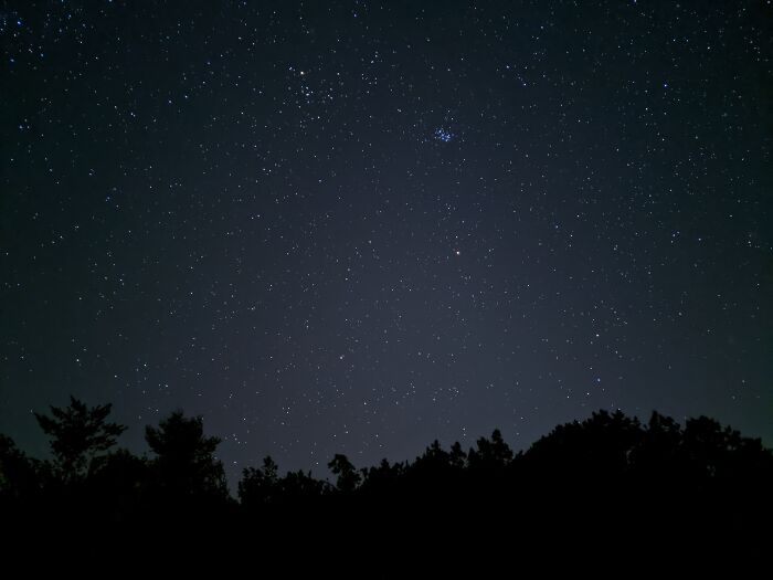 Hey Pandas, What’s A Photo You Took With Your Phone That Seems Professional? (Closed) Hey Pandas, What’s A Photo You Took With Your Phone That Seems Professional? (Closed)