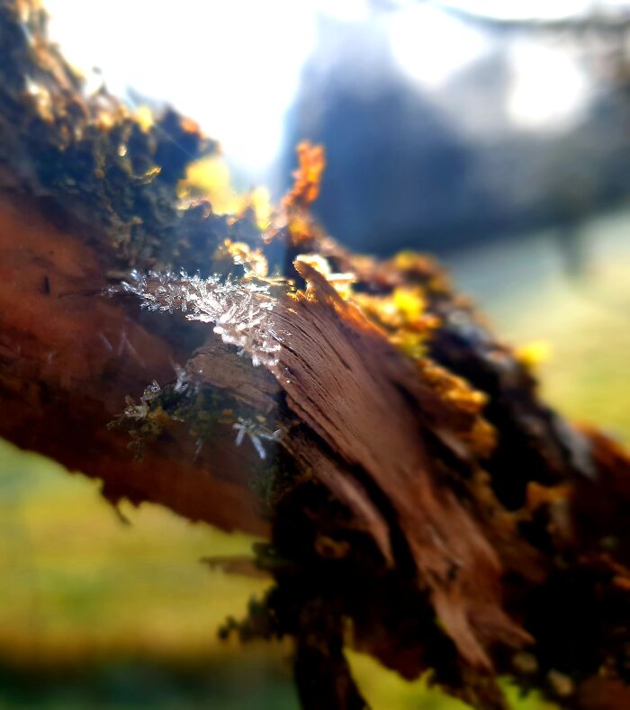 Hey Pandas, What’s A Photo You Took With Your Phone That Seems Professional? (Closed) Hey Pandas, What’s A Photo You Took With Your Phone That Seems Professional? (Closed)