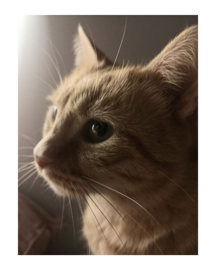 Hey Pandas, What’s A Photo You Took With Your Phone That Seems Professional? (Closed) Hey Pandas, What’s A Photo You Took With Your Phone That Seems Professional? (Closed)