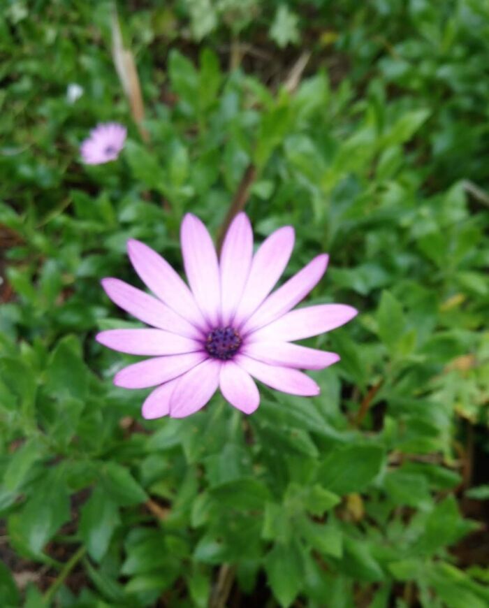 Hey Pandas, What’s A Photo You Took With Your Phone That Seems Professional? (Closed) Hey Pandas, What’s A Photo You Took With Your Phone That Seems Professional? (Closed)