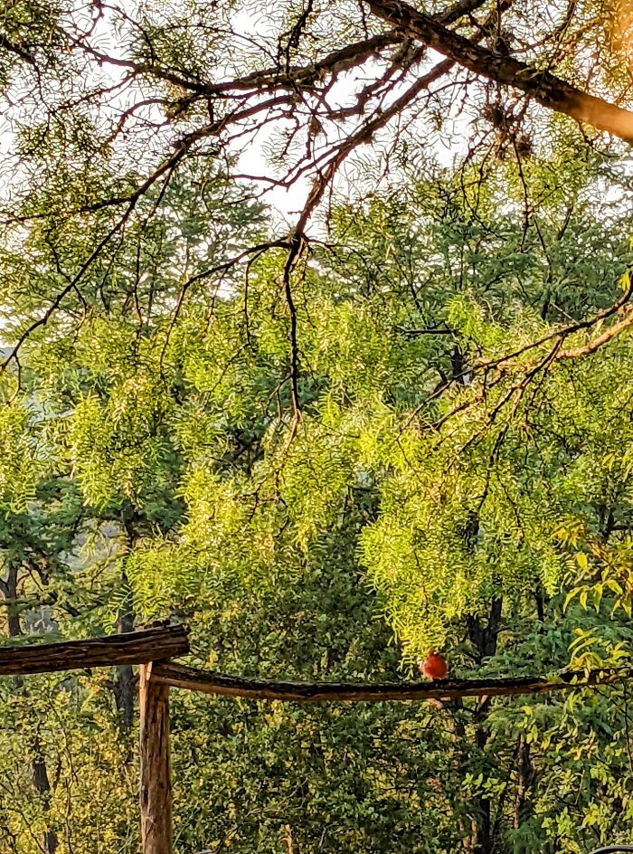 Hey Pandas, What’s A Photo You Took With Your Phone That Seems Professional? (Closed) Hey Pandas, What’s A Photo You Took With Your Phone That Seems Professional? (Closed)