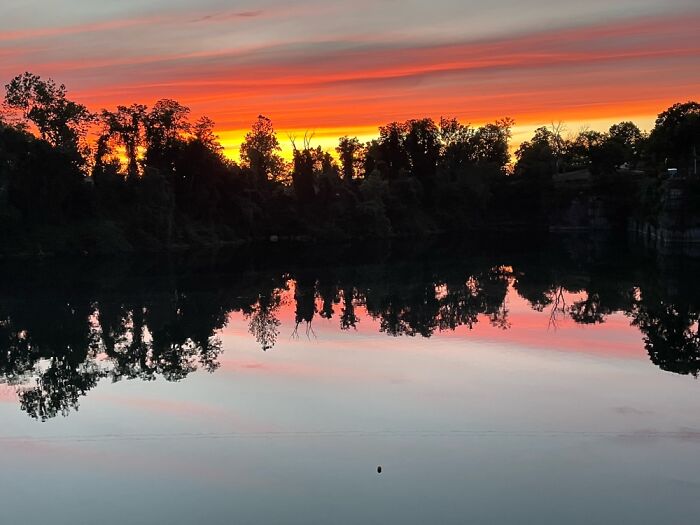 Hey Pandas, What’s A Photo You Took With Your Phone That Seems Professional? (Closed) Hey Pandas, What’s A Photo You Took With Your Phone That Seems Professional? (Closed)