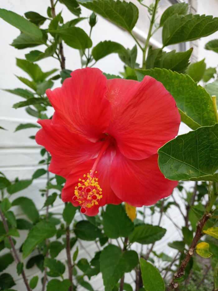 Hey Pandas, What’s A Photo You Took With Your Phone That Seems Professional? (Closed) Hey Pandas, What’s A Photo You Took With Your Phone That Seems Professional? (Closed)