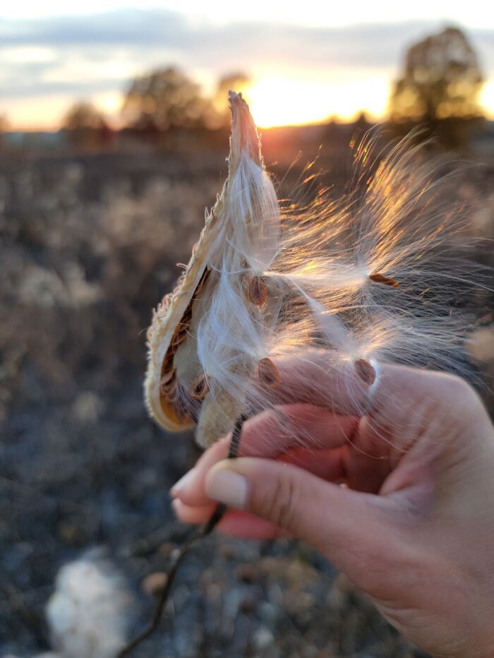 Hey Pandas, What’s A Photo You Took With Your Phone That Seems Professional? (Closed) Hey Pandas, What’s A Photo You Took With Your Phone That Seems Professional? (Closed)