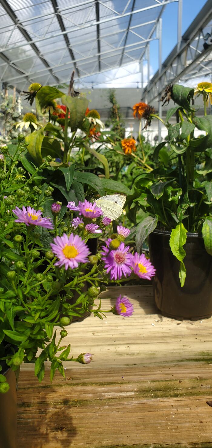 Hey Pandas, What’s A Photo You Took With Your Phone That Seems Professional? (Closed) Hey Pandas, What’s A Photo You Took With Your Phone That Seems Professional? (Closed)