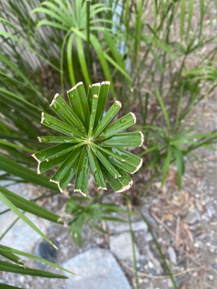 Hey Pandas, What’s A Photo You Took With Your Phone That Seems Professional? (Closed) Hey Pandas, What’s A Photo You Took With Your Phone That Seems Professional? (Closed)