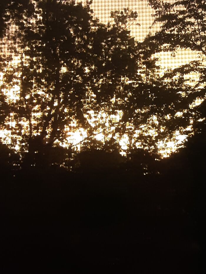 Hey Pandas, What’s A Photo You Took With Your Phone That Seems Professional? (Closed) Hey Pandas, What’s A Photo You Took With Your Phone That Seems Professional? (Closed)