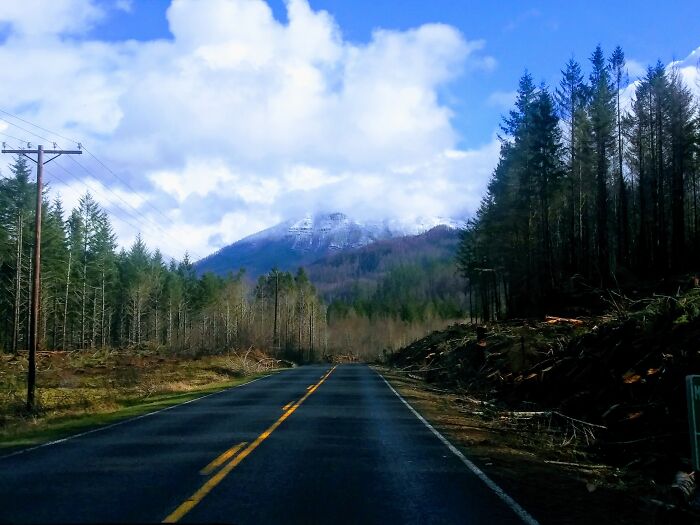 Hey Pandas, What’s A Photo You Took With Your Phone That Seems Professional? (Closed) Hey Pandas, What’s A Photo You Took With Your Phone That Seems Professional? (Closed)