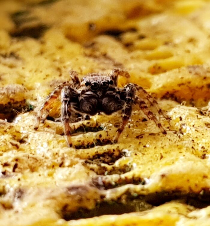 Hey Pandas, What’s A Photo You Took With Your Phone That Seems Professional? (Closed) Hey Pandas, What’s A Photo You Took With Your Phone That Seems Professional? (Closed)