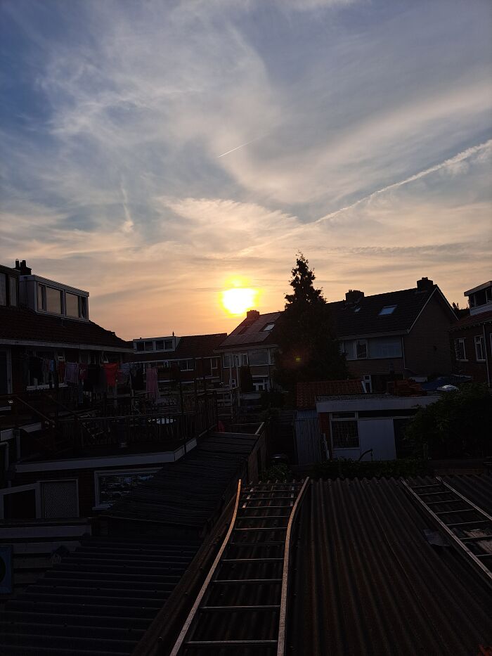 Hey Pandas, What’s A Photo You Took With Your Phone That Seems Professional? (Closed) Hey Pandas, What’s A Photo You Took With Your Phone That Seems Professional? (Closed)