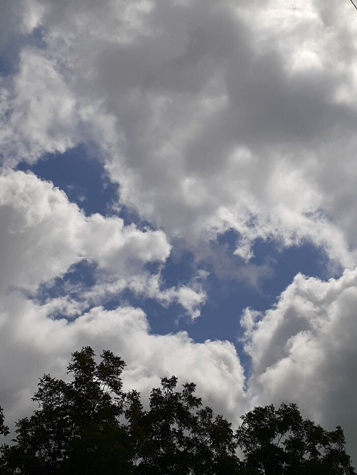 Hey Pandas, What’s A Photo You Took With Your Phone That Seems Professional? (Closed) Hey Pandas, What’s A Photo You Took With Your Phone That Seems Professional? (Closed)