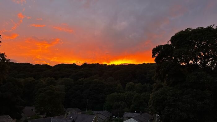 Hey Pandas, What’s A Photo You Took With Your Phone That Seems Professional? (Closed) Hey Pandas, What’s A Photo You Took With Your Phone That Seems Professional? (Closed)