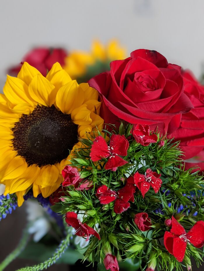 Hey Pandas, What’s A Photo You Took With Your Phone That Seems Professional? (Closed) Hey Pandas, What’s A Photo You Took With Your Phone That Seems Professional? (Closed)