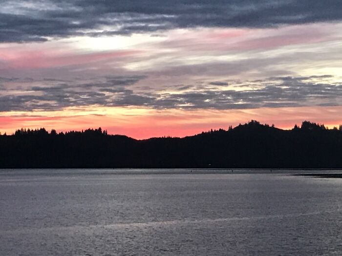 Hey Pandas, What’s A Photo You Took With Your Phone That Seems Professional? (Closed) Hey Pandas, What’s A Photo You Took With Your Phone That Seems Professional? (Closed)