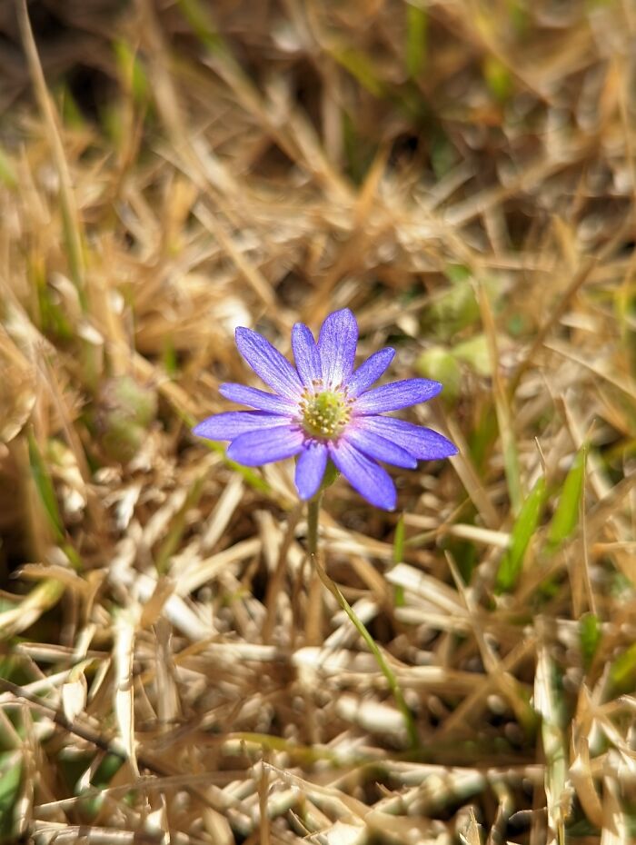 Hey Pandas, What’s A Photo You Took With Your Phone That Seems Professional? (Closed) Hey Pandas, What’s A Photo You Took With Your Phone That Seems Professional? (Closed)