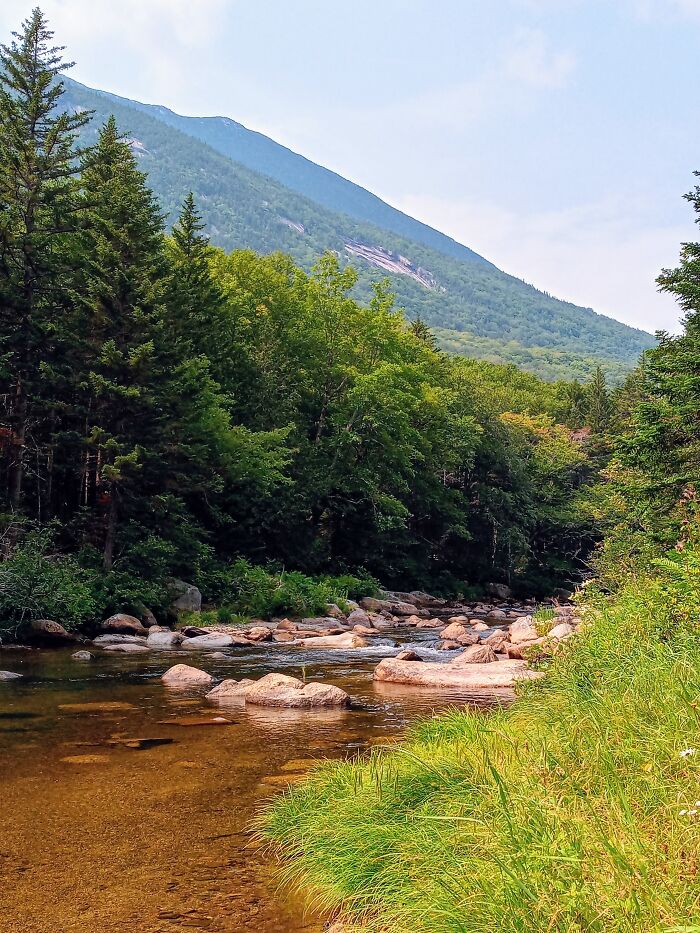 Hey Pandas, What’s A Photo You Took With Your Phone That Seems Professional? (Closed) Hey Pandas, What’s A Photo You Took With Your Phone That Seems Professional? (Closed)