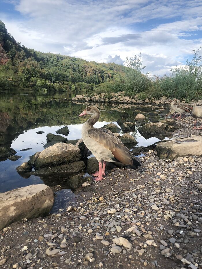 Hey Pandas, What’s A Photo You Took With Your Phone That Seems Professional? (Closed) Hey Pandas, What’s A Photo You Took With Your Phone That Seems Professional? (Closed)