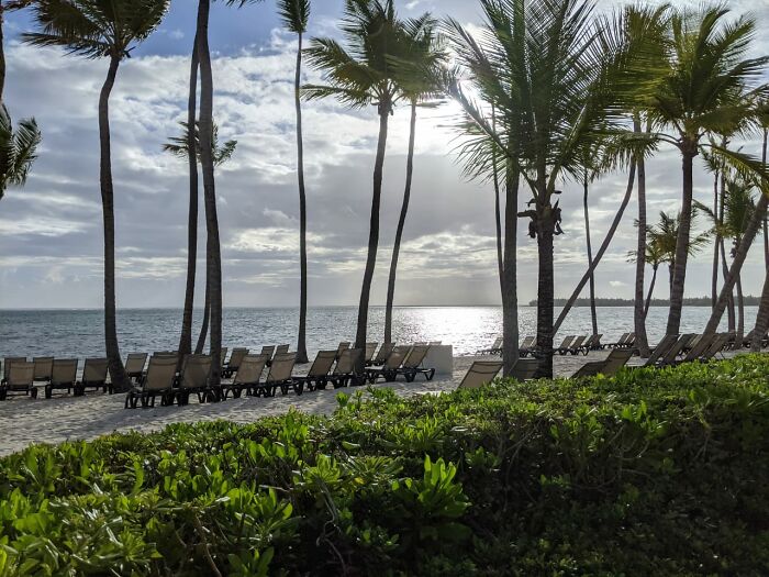 Hey Pandas, What’s A Photo You Took With Your Phone That Seems Professional? (Closed) Hey Pandas, What’s A Photo You Took With Your Phone That Seems Professional? (Closed)