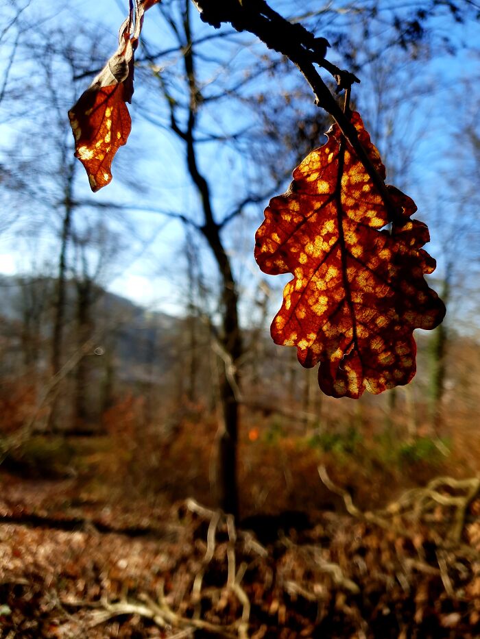 Hey Pandas, What’s A Photo You Took With Your Phone That Seems Professional? (Closed) Hey Pandas, What’s A Photo You Took With Your Phone That Seems Professional? (Closed)