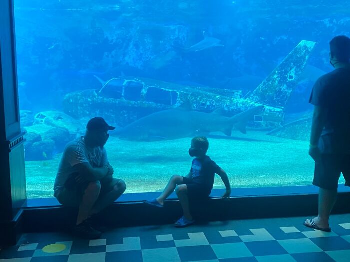 Hey Pandas, What’s A Photo You Took With Your Phone That Seems Professional? (Closed) Hey Pandas, What’s A Photo You Took With Your Phone That Seems Professional? (Closed)