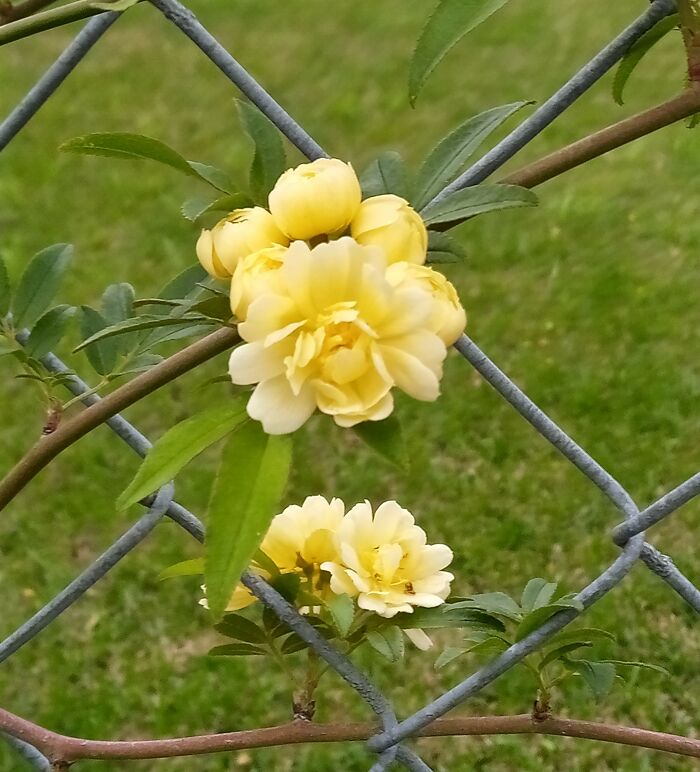 Hey Pandas, What’s A Photo You Took With Your Phone That Seems Professional? (Closed) Hey Pandas, What’s A Photo You Took With Your Phone That Seems Professional? (Closed)