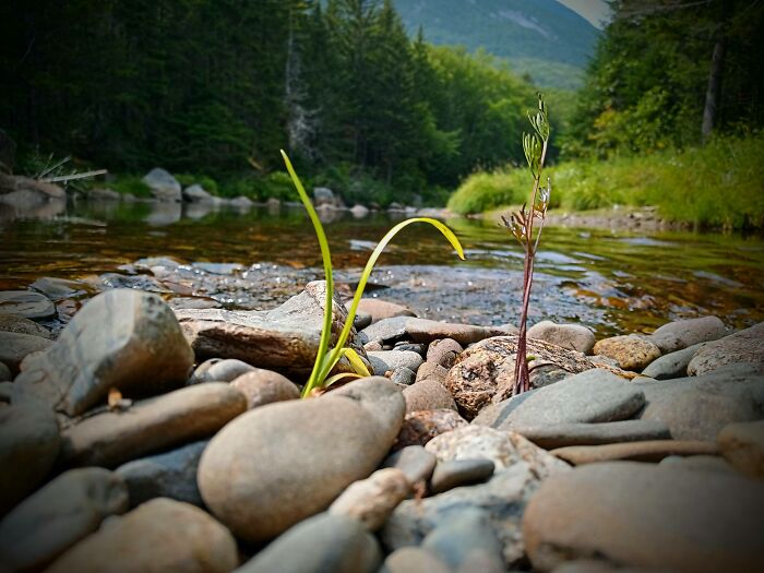 Hey Pandas, What’s A Photo You Took With Your Phone That Seems Professional? (Closed) Hey Pandas, What’s A Photo You Took With Your Phone That Seems Professional? (Closed)