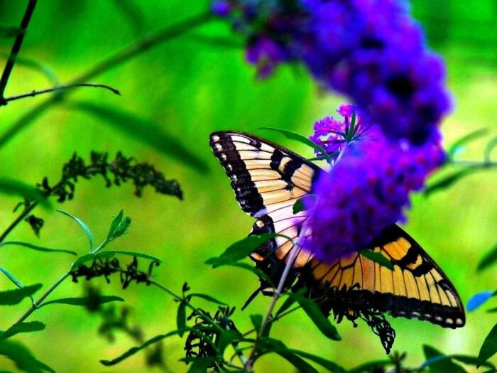 Hey Pandas, What’s A Photo You Took With Your Phone That Seems Professional? (Closed) Hey Pandas, What’s A Photo You Took With Your Phone That Seems Professional? (Closed)