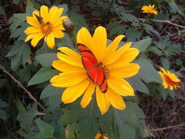 Hey Pandas, What’s A Photo You Took With Your Phone That Seems Professional? (Closed) Hey Pandas, What’s A Photo You Took With Your Phone That Seems Professional? (Closed)