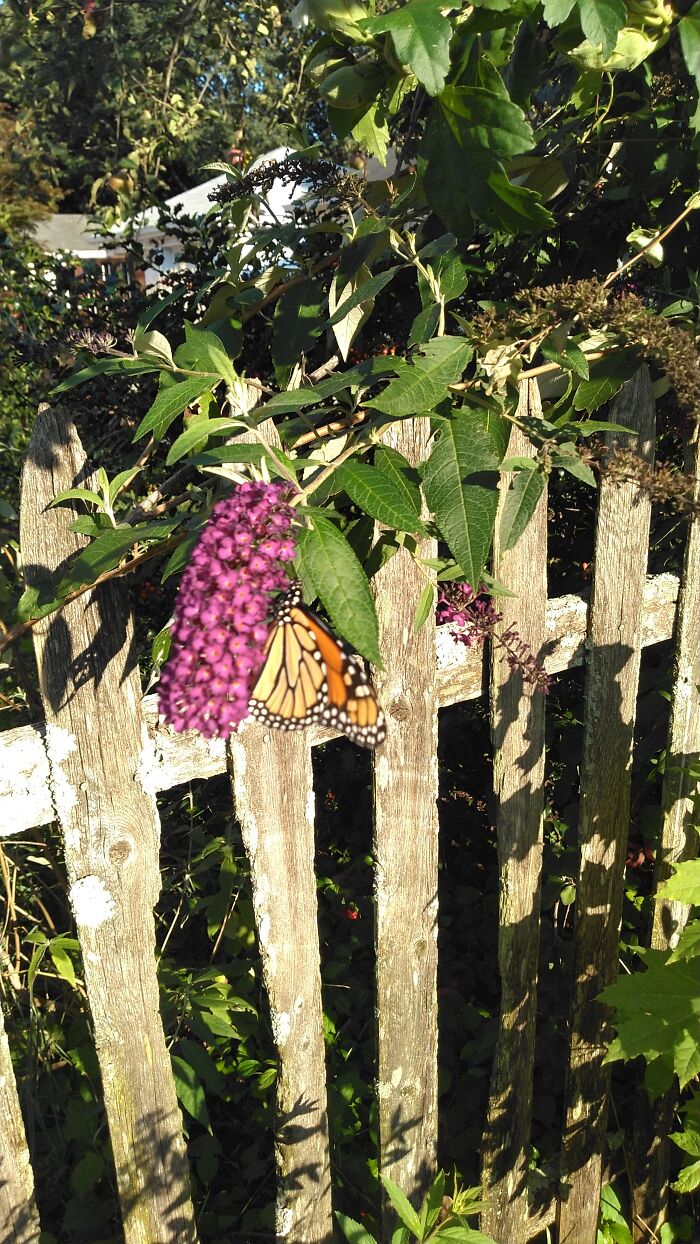 Hey Pandas, What’s A Photo You Took With Your Phone That Seems Professional? (Closed) Hey Pandas, What’s A Photo You Took With Your Phone That Seems Professional? (Closed)