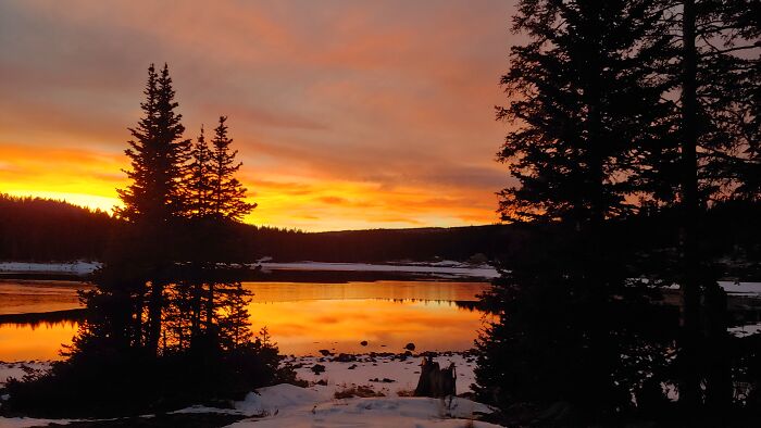 Hey Pandas, What’s A Photo You Took With Your Phone That Seems Professional? (Closed) Hey Pandas, What’s A Photo You Took With Your Phone That Seems Professional? (Closed)