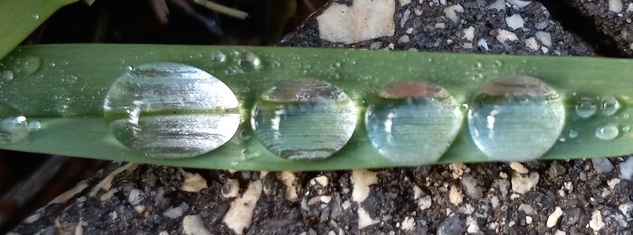 Hey Pandas, What’s A Photo You Took With Your Phone That Seems Professional? (Closed) Hey Pandas, What’s A Photo You Took With Your Phone That Seems Professional? (Closed)