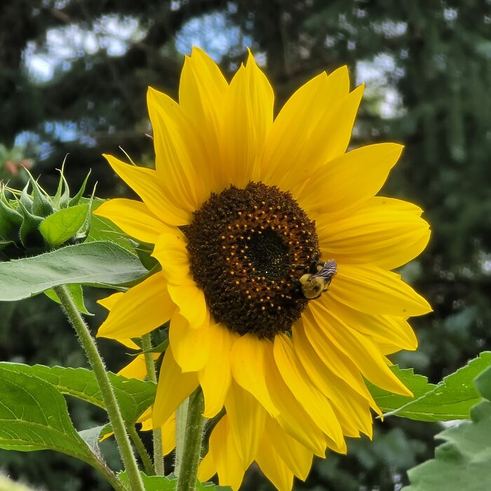 Hey Pandas, What’s A Photo You Took With Your Phone That Seems Professional? (Closed) Hey Pandas, What’s A Photo You Took With Your Phone That Seems Professional? (Closed)