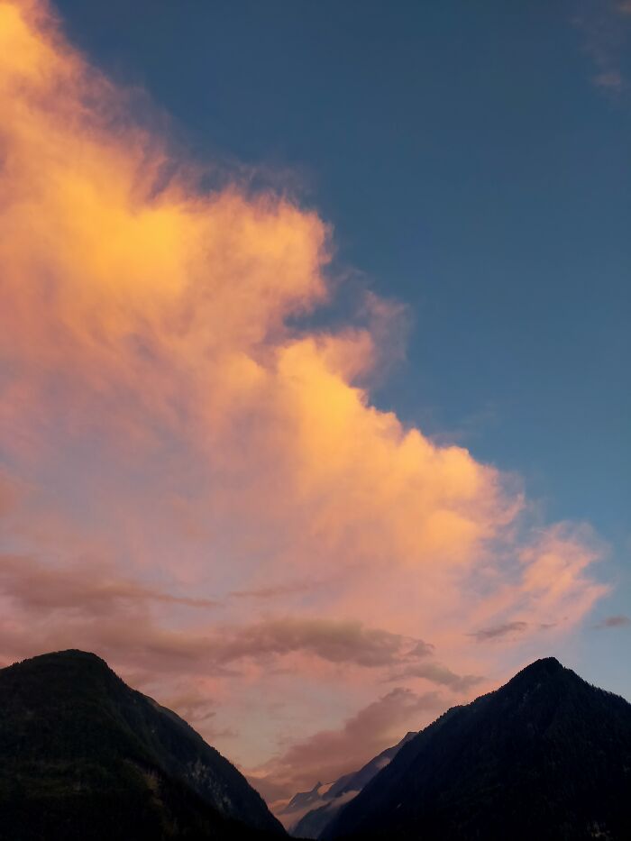 Hey Pandas, What’s A Photo You Took With Your Phone That Seems Professional? (Closed) Hey Pandas, What’s A Photo You Took With Your Phone That Seems Professional? (Closed)