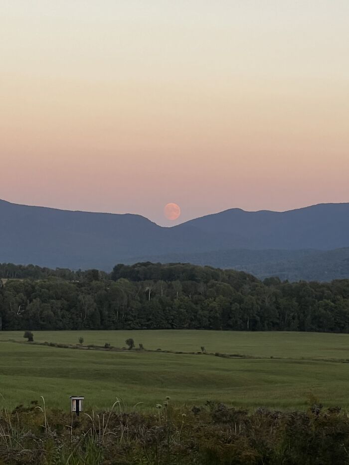 Hey Pandas, What’s A Photo You Took With Your Phone That Seems Professional? (Closed) Hey Pandas, What’s A Photo You Took With Your Phone That Seems Professional? (Closed)