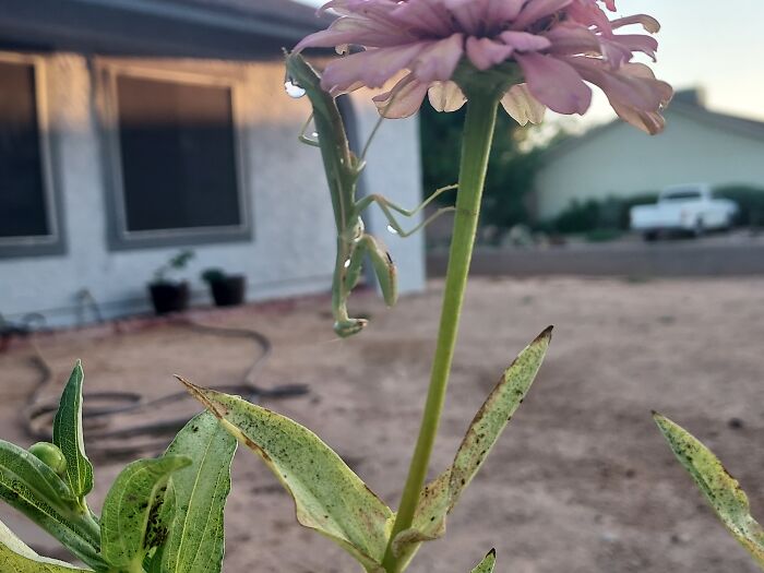 Hey Pandas, What’s A Photo You Took With Your Phone That Seems Professional? (Closed) Hey Pandas, What’s A Photo You Took With Your Phone That Seems Professional? (Closed)