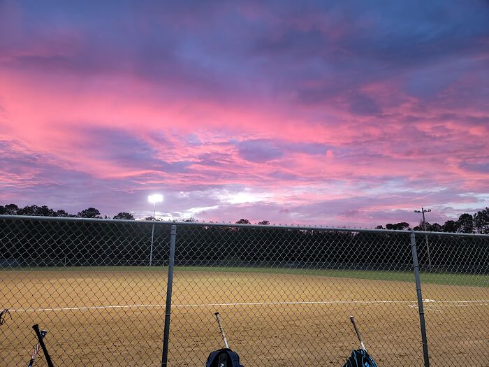 Hey Pandas, What’s A Photo You Took With Your Phone That Seems Professional? (Closed) Hey Pandas, What’s A Photo You Took With Your Phone That Seems Professional? (Closed)