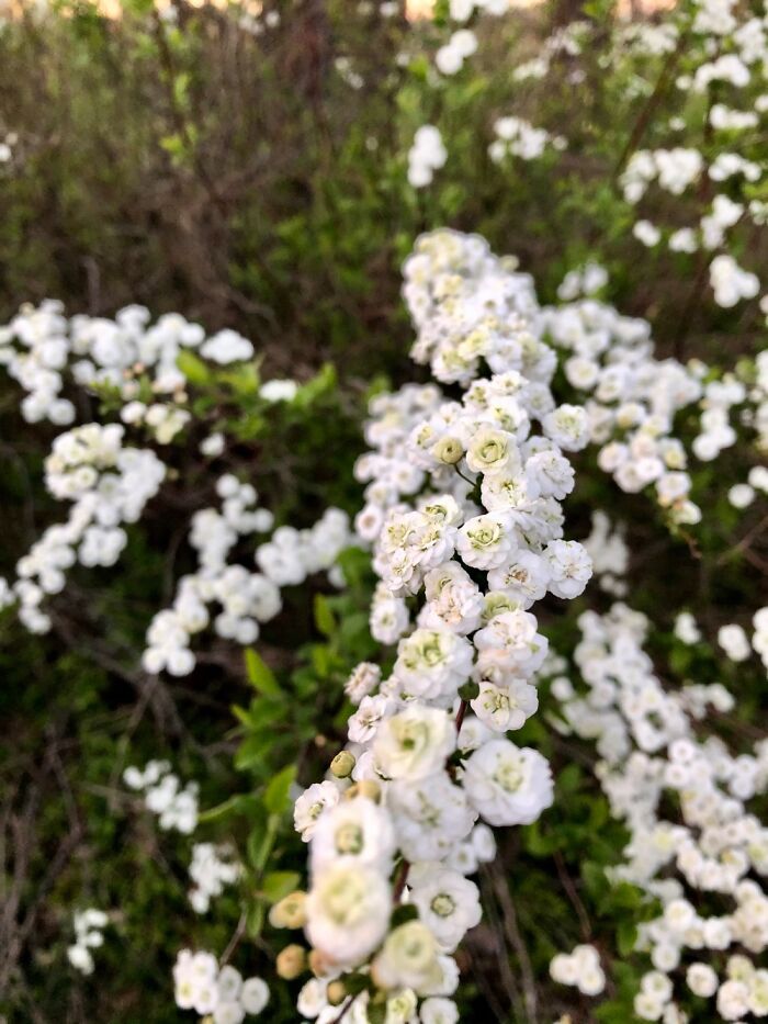 Hey Pandas, What’s A Photo You Took With Your Phone That Seems Professional? (Closed) Hey Pandas, What’s A Photo You Took With Your Phone That Seems Professional? (Closed)