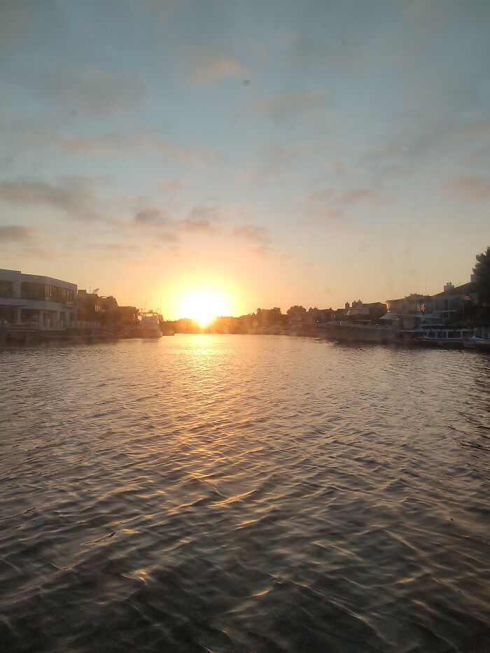 Hey Pandas, What’s A Photo You Took With Your Phone That Seems Professional? (Closed) Hey Pandas, What’s A Photo You Took With Your Phone That Seems Professional? (Closed)