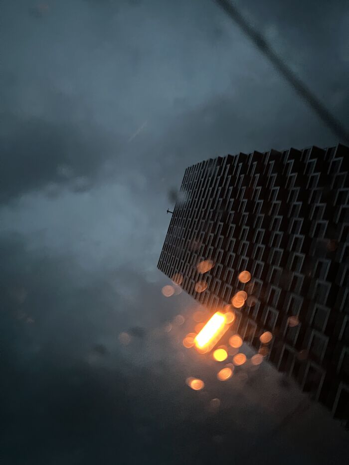 Hey Pandas, What’s A Photo You Took With Your Phone That Seems Professional? (Closed) Hey Pandas, What’s A Photo You Took With Your Phone That Seems Professional? (Closed)