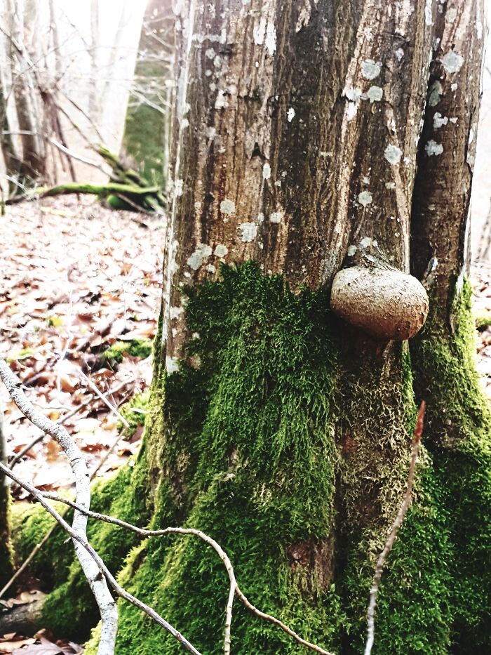 Hey Pandas, What’s A Photo You Took With Your Phone That Seems Professional? (Closed) Hey Pandas, What’s A Photo You Took With Your Phone That Seems Professional? (Closed)