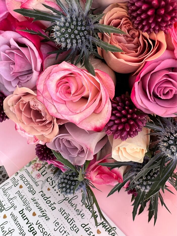 Hey Pandas, What’s A Photo You Took With Your Phone That Seems Professional? (Closed) Hey Pandas, What’s A Photo You Took With Your Phone That Seems Professional? (Closed)