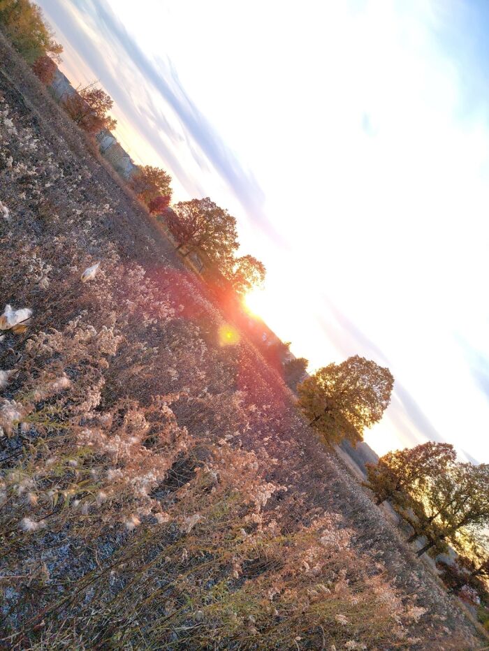 Hey Pandas, What’s A Photo You Took With Your Phone That Seems Professional? (Closed) Hey Pandas, What’s A Photo You Took With Your Phone That Seems Professional? (Closed)